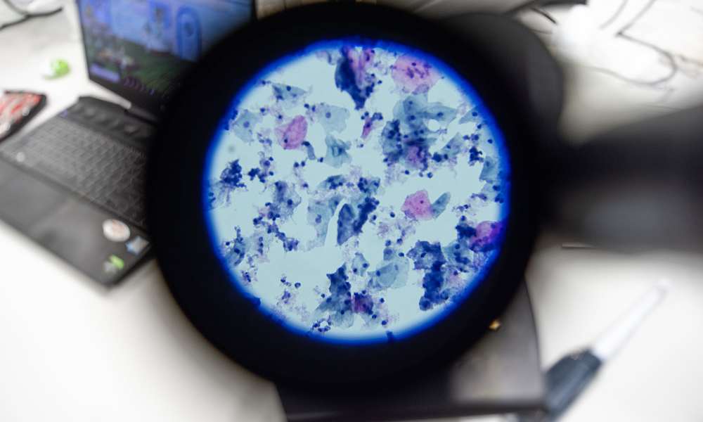 Medische Diagnostiek 2024 5.jpg