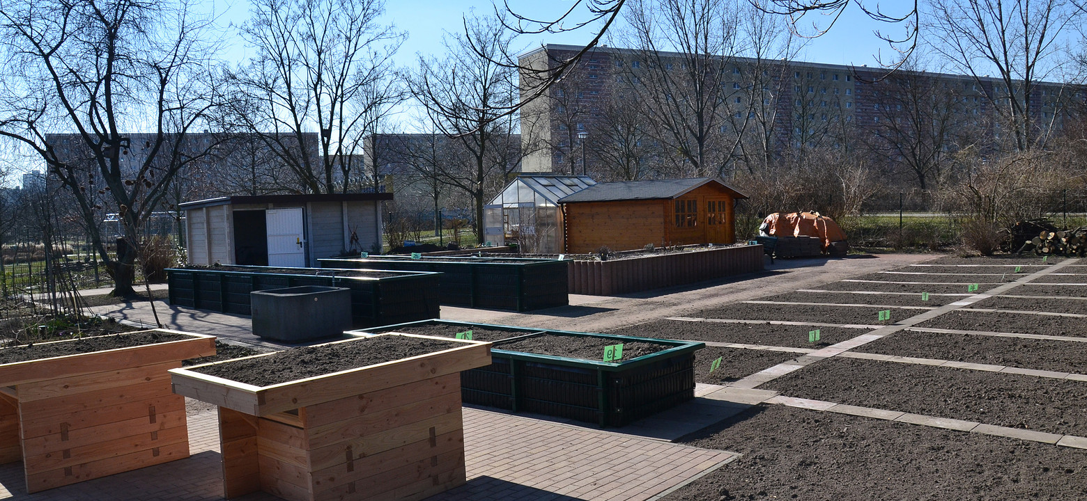 Micro gardening bachelor Klimaat en Management Saxion