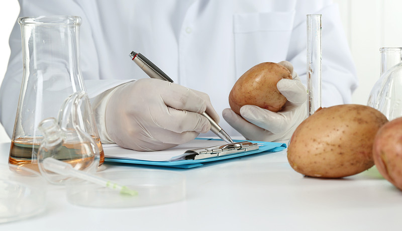 Aardappel in een lab.