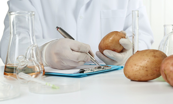 onderzoeker biobased aardappel food.jpeg