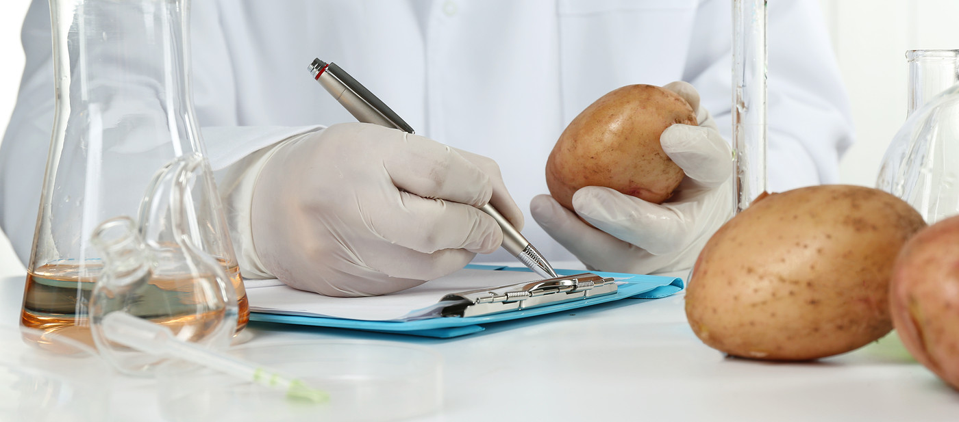 Aardappel in een lab.