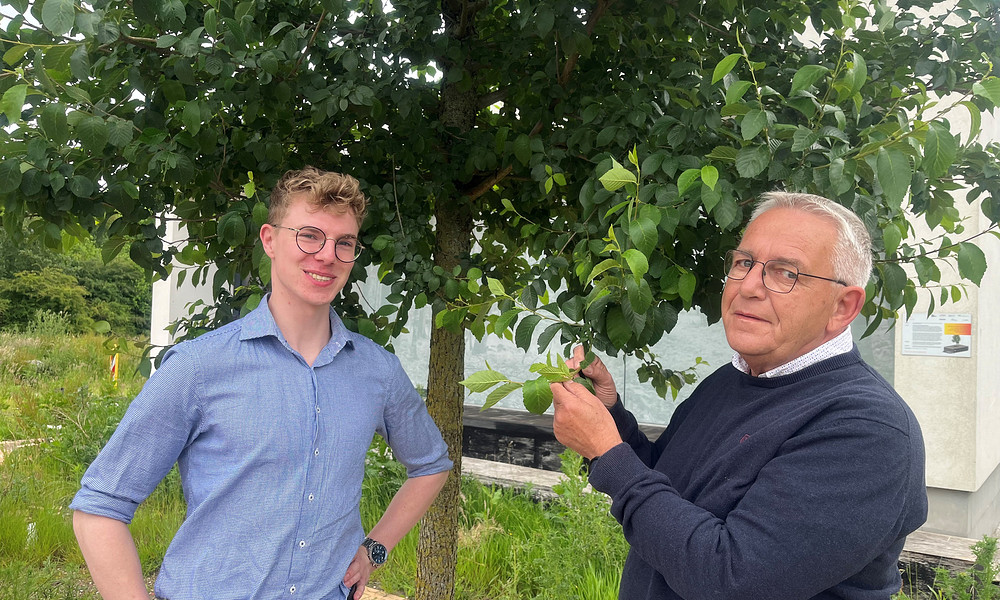 piet zijlstra jurre van der velde