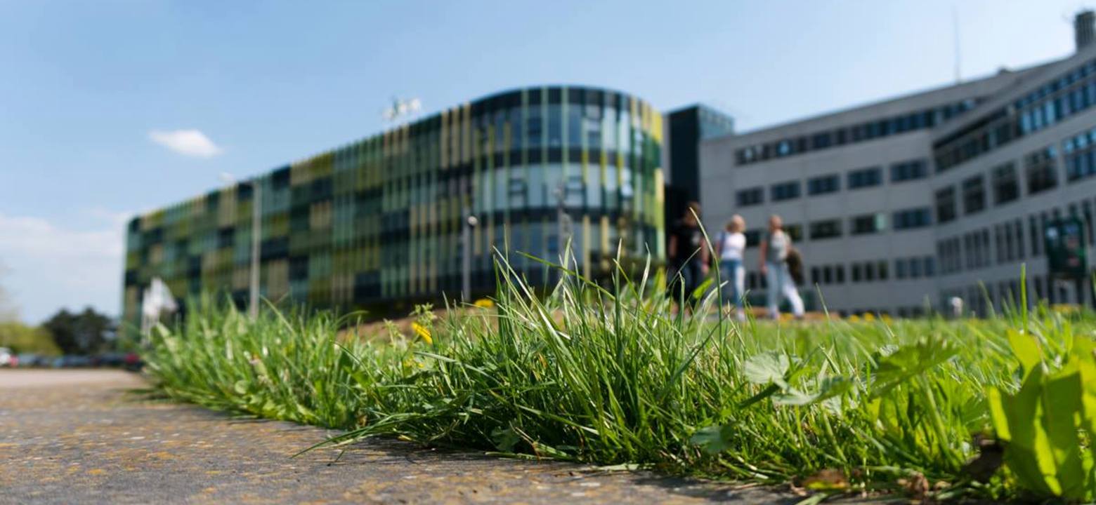 Saxion Deventer Building