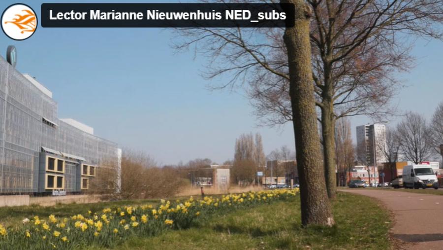 Screenshot Marianne Nieuwenhuis film.png