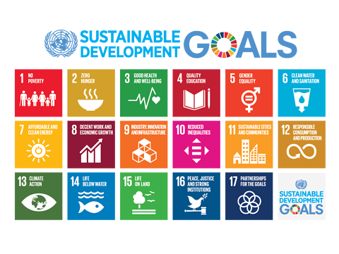 SDG Sustainable development goals.png