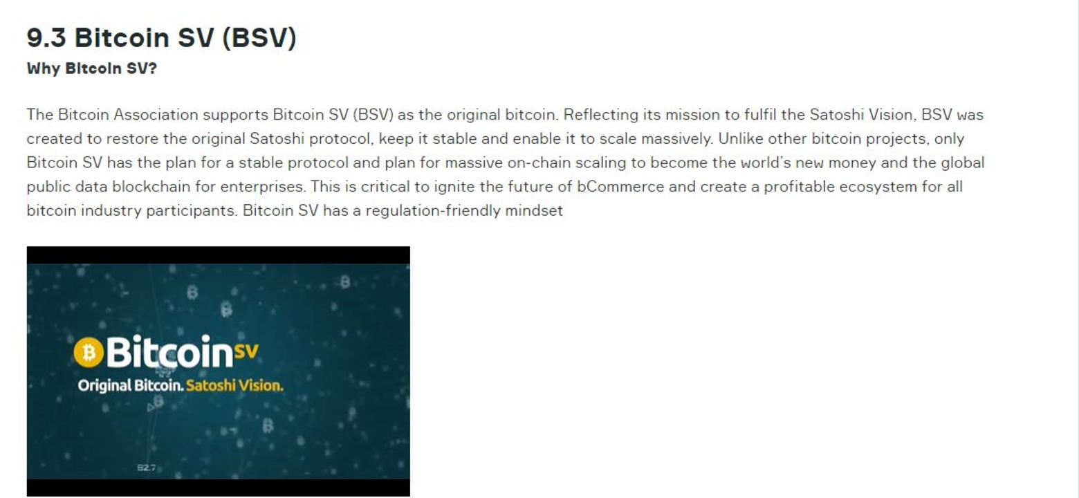 BSV saxion