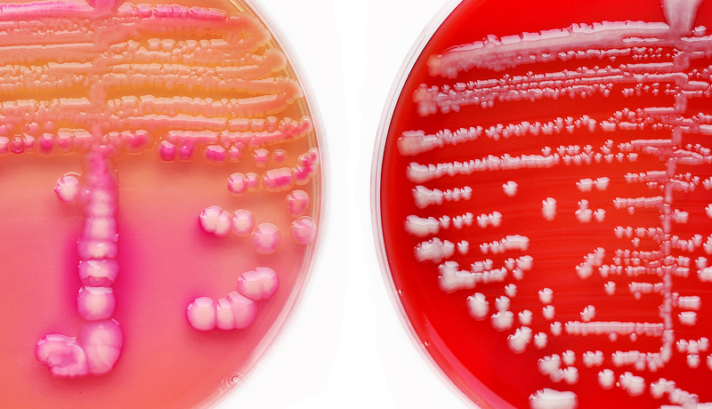 strook tegel site.jpg