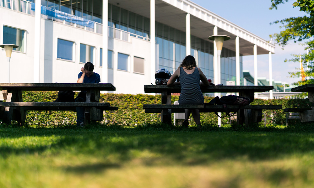 Studenten aan picknicktafels in de schaduw