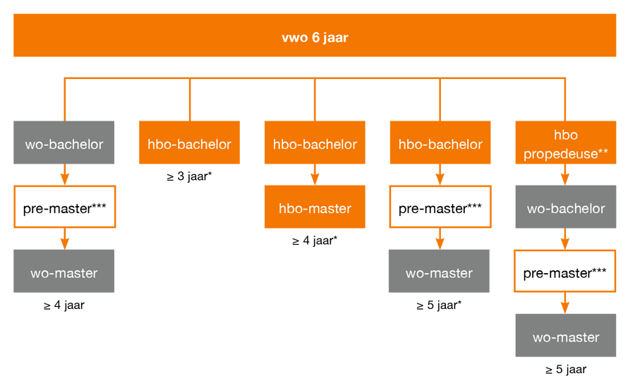 Studierichtingen vwo'ers flowchart.png
