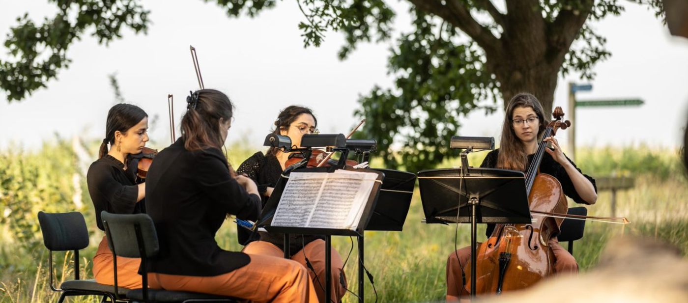 Sunrise concert2.jpg