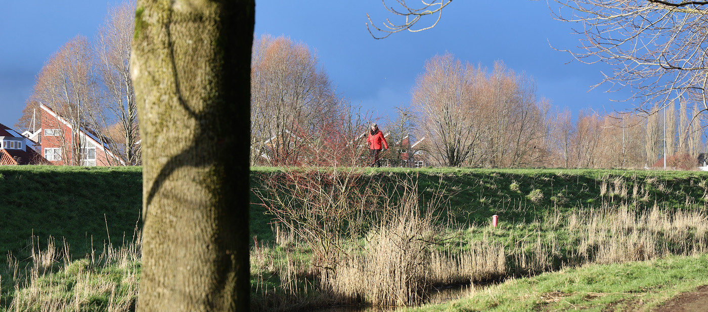 Vrouw op de dijk in Groningen 2025.JPG