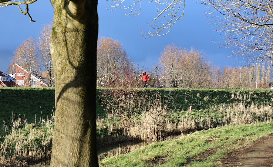 Vrouw op de dijk in Groningen 2025.JPG