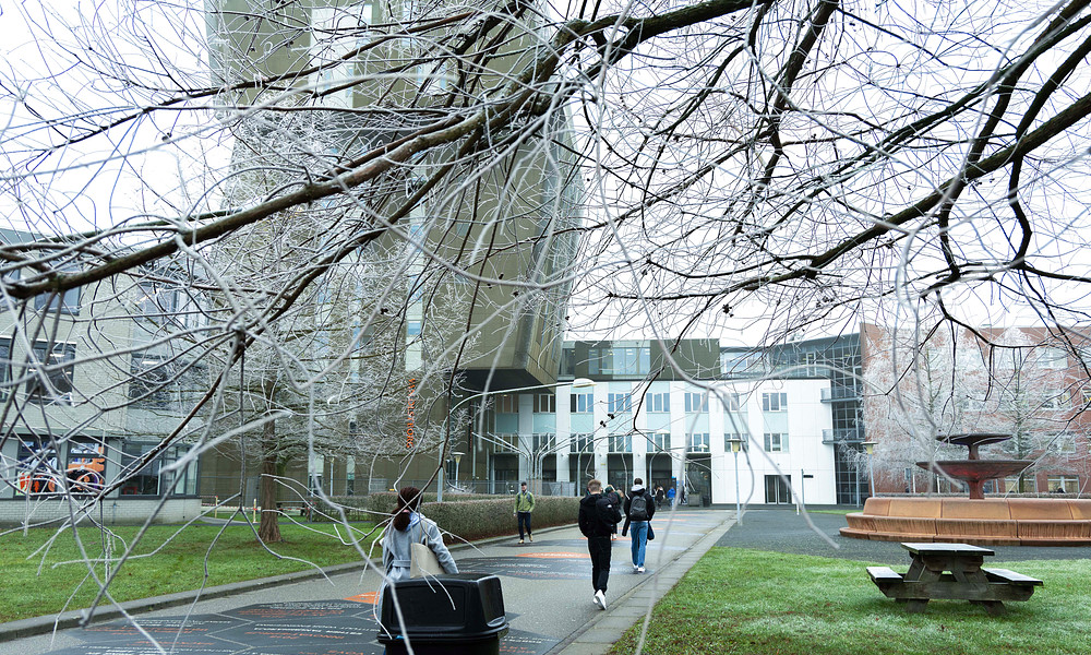 Winterse foto 22. 20 januari 2025.jpg