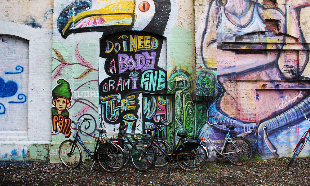 Woonlab grafittimuur op Suikerterrein.JPG
