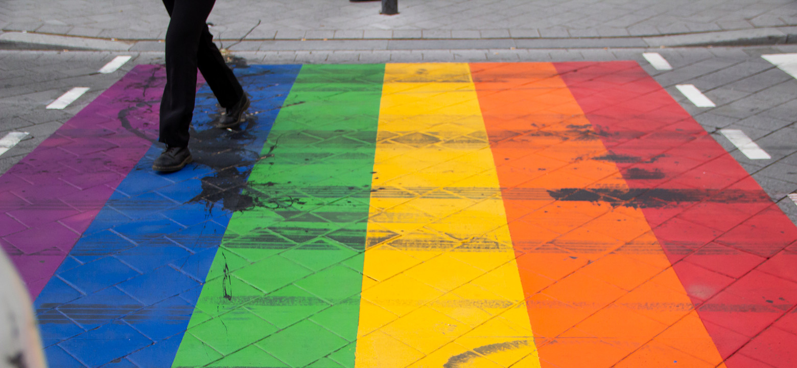 regenboog