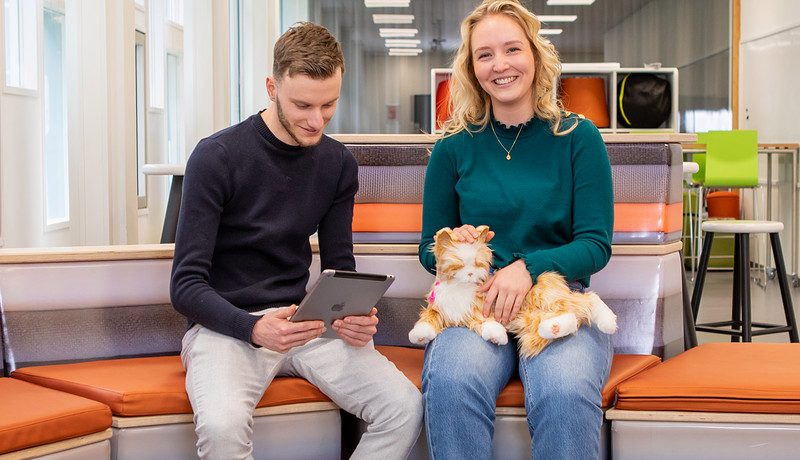 HBO Management in de Zorg - voltijd in 4 jaar | Hanze | Hanze