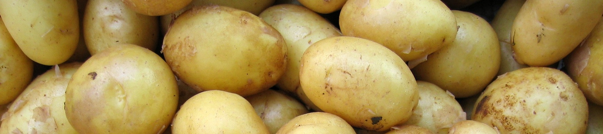 eiwittransitie aardappelen