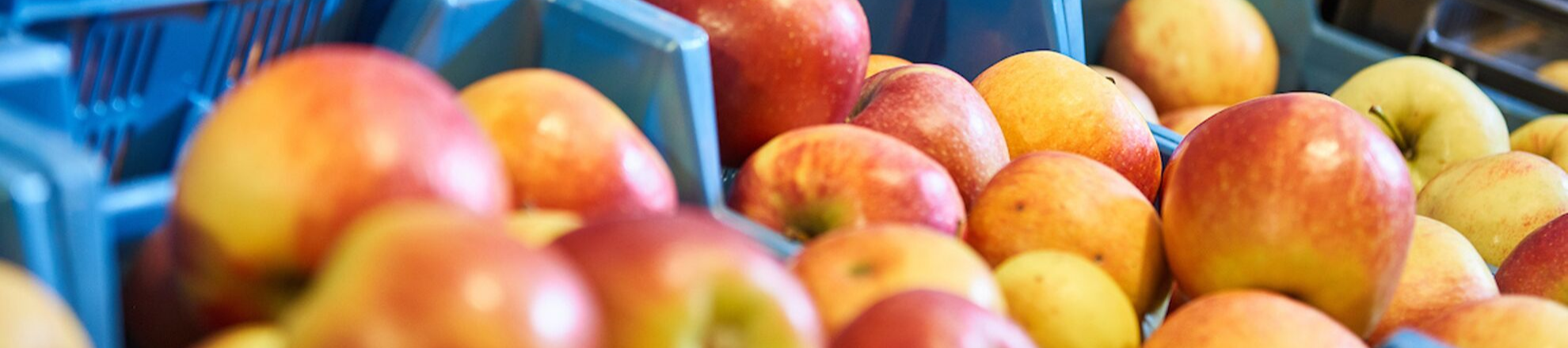Appels studie food voeding gezond Aeres Hogeschool Almere