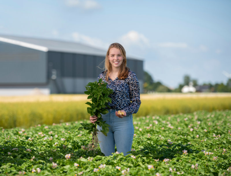 Bachelor voltijd opleiding Agrarisch ondernemerschap Tuinbouw en akkerbouw Aeres Hogeschool Dronten