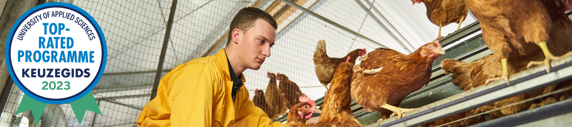 Bachelor International poultry management Aeres university of applied sciences